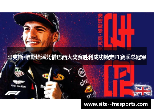 马克斯·维斯塔潘凭借巴西大奖赛胜利成功锁定F1赛季总冠军