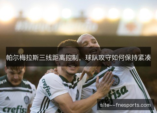 帕尔梅拉斯三线距离控制,球队攻守如何保持紧凑 帕尔梅拉斯三线距离控制,球队攻守如何保持紧凑